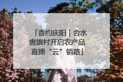 香约庆阳｜合水唐旗村开启农产品直播“云”销路